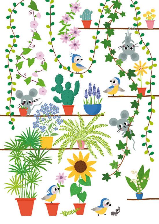 plantes